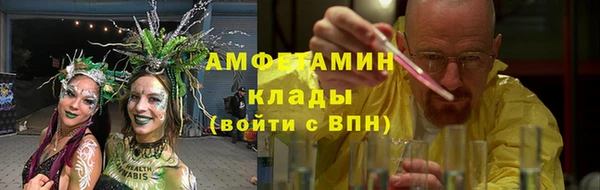 крисы Зеленокумск