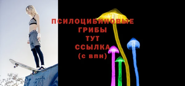 индика Зерноград