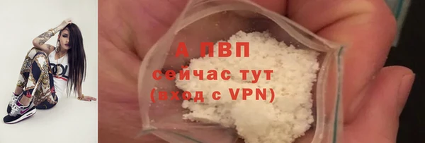 индика Зерноград