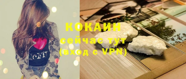 индика Зерноград