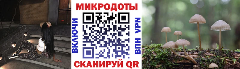 закладка  Кызыл  Галлюциногенные грибы прущие грибы 